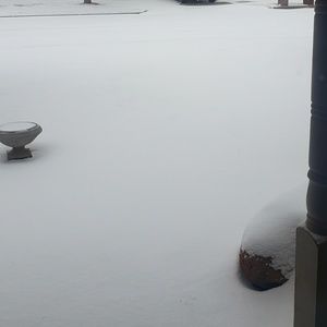 Meet your Posher, Carol